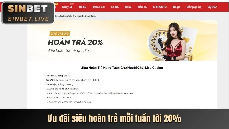 Hoàn trả cược thể thao k8cc hàng tuần